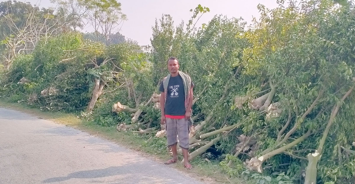 ইউটিউব দেখে কমলা চাষ, হতাশায় বাগান কাটলেন কৃষক